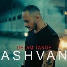 آهنگ جدید اشوان به نام دلم تنگه